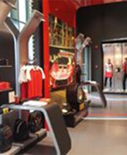 Gallery Cliente