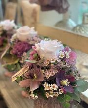 Blumen La Violetta Bild 9