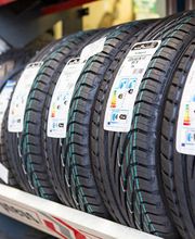 Gallery Professionale