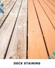 That 1 Painter Sarasota image 1