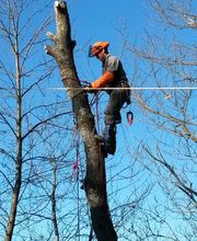 Pyrénées Vertiges image 9