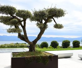 Dimensions Paysage GE SA Bild 3