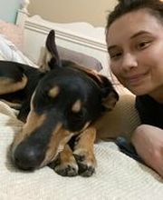 Parkwood Animal Hospital & Boarding image 17