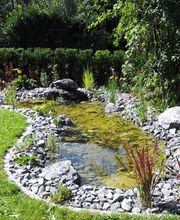 Lüthi Gartenbau GmbH Bild 6