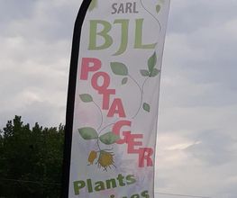BJL Potager image 20