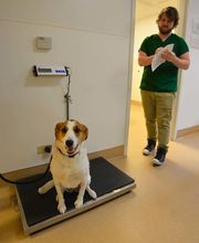 Archer Veterinary Clinic image 15