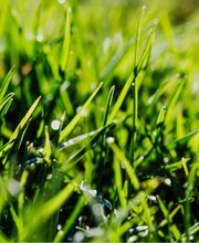 Lavelle Lawn Care and Firewood LLC image 17