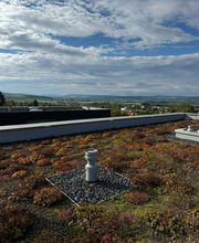 Waldmann Bedachungen Bild 4