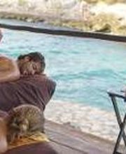 Occidental at Xcaret Destination - All Inclusive imagen 20