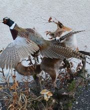 Lanaud Petot Virginie image 18