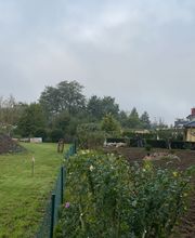 B.T. Gartenbau Bild 10