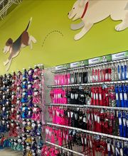 Feeders Pet Supply image 9