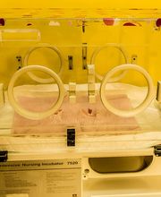 Clinica Veterinaria Leonardo da Vinci immagine 11