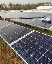 ECO Reinigung Mardare Bild 13