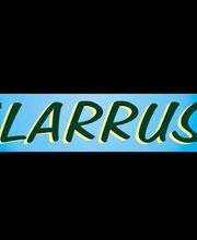 Larrus Jean-Michel image 1