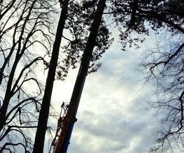 Paysage Services image 6