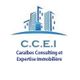 Caraibes Consulting & Expertise Immobiliere CCEI