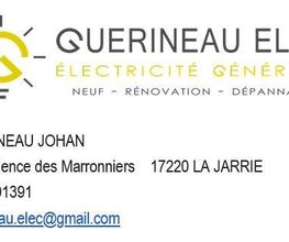 Guerineau Elec image 1