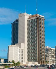 Seal Masters of Hawaii image 19