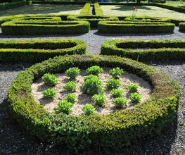M&M Gartenbau AG Bild 7