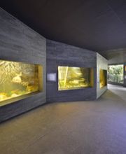 Huber Baugeschäft AG Bild 1