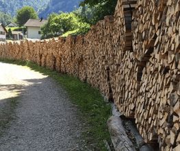 Urs Amstutz Entreprise Forestière Bild 1