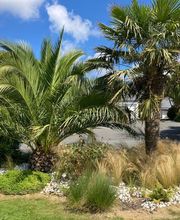 Tregor Coup De Pouce image 6