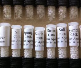 Homöopathie Praxis Yvonne Künzler Bild 9