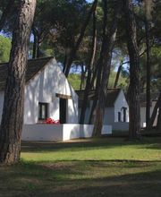 Bungalows_Camping_Dehesa_Nueva_Aznalcazar.jpg