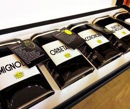 Gallery Cliente