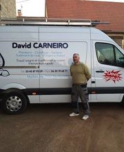 Carneiro Da Silva David image 5