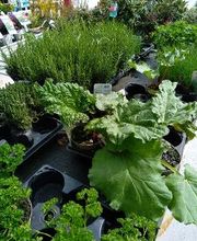 Bricomarché La Charité-Sur-Loire image 9