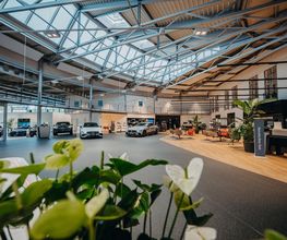 STERNAUTO Bild 5
