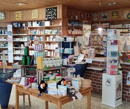 Mühlen Apotheke Bild 2