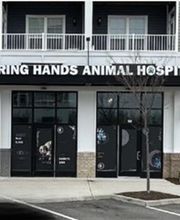 Caring Hands Animal Hospital - Suffolk image 13