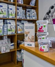 Clinique vétérinaire de Guipavas - Sevetys image 6