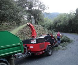 Roussillon Elagage image 19