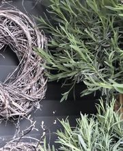 Gärtnerei und Blumengeschäft Sommer Bild 4