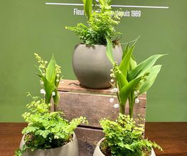 Fior Fleurs image 10