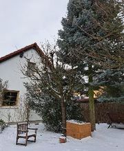 Antje Wagner Bild 4