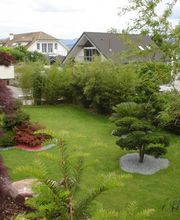 Hirschi Marcel Bild 5