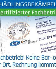 Klavier Zähringer Bild 4