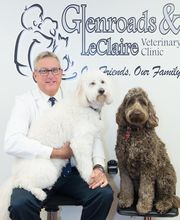 Glenroads Veterinary Clinic, A Thrive Pet Healthcare Partner image 2