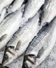 Julio Pérez SL imagen 13