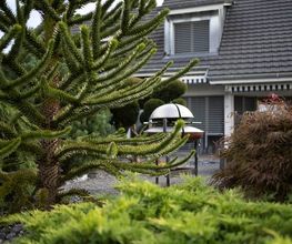 Bruno Preite Gartengestaltung und Gartenpflege - Ihr Gartenbauer im Limmattal, im Aargau & Zürich. Bild 3