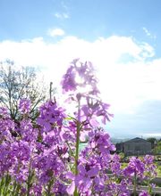 Hospenthal - Kägi AG Bild 7