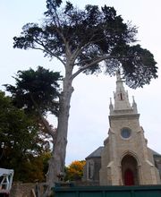 Burguin SARL image 8