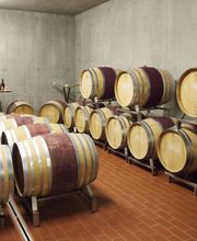 Weingut Jürg & Daniela Bild 9