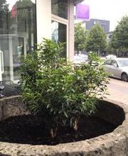 Beauty Institut Coolini Bild 1