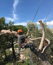 Ciotat Elagage image 1